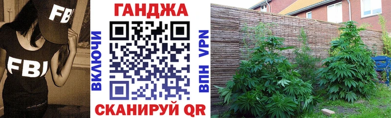 как найти закладки  Кохма  mega ТОР  Бошки марихуана гибрид 